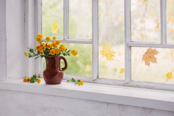 Old Window Repair